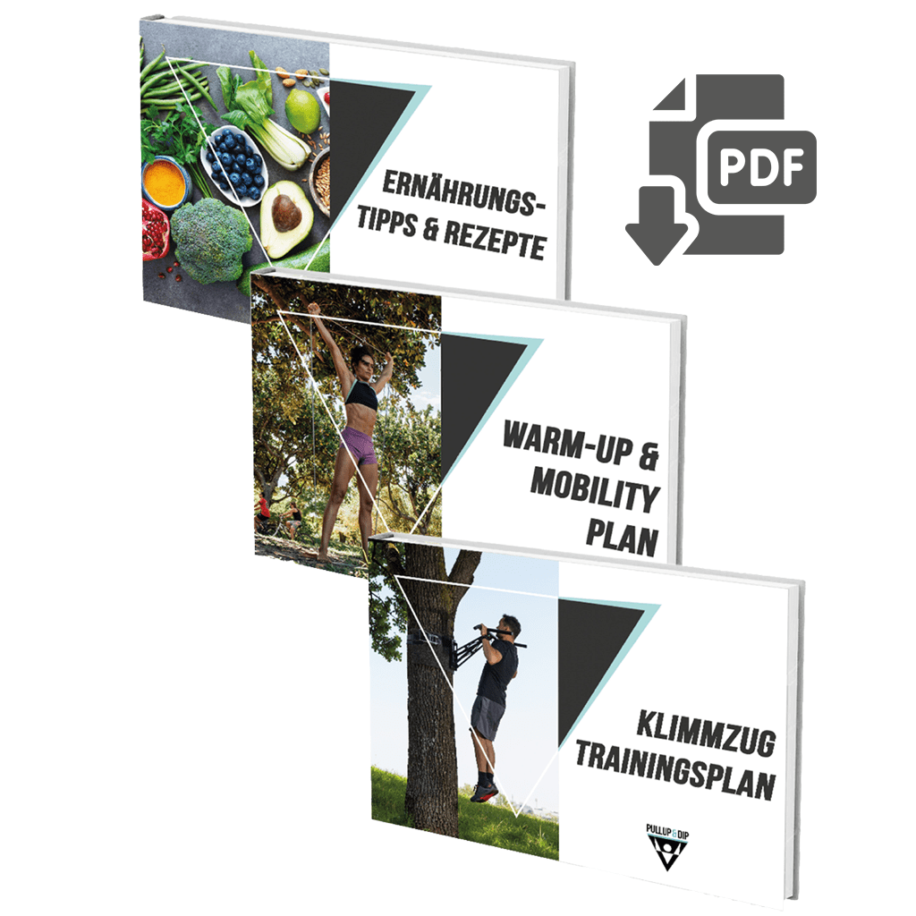 Paquete de guías: Plan de entrenamiento de pull-ups, Plan de calentamiento y movilidad y Guía de recetas nutricionales [PDF] en inglés